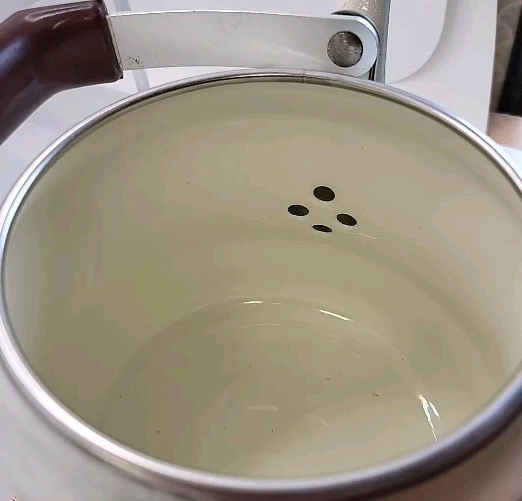 Vintage Tea Kettle, Floral Enamel on Steel Tea Kettle