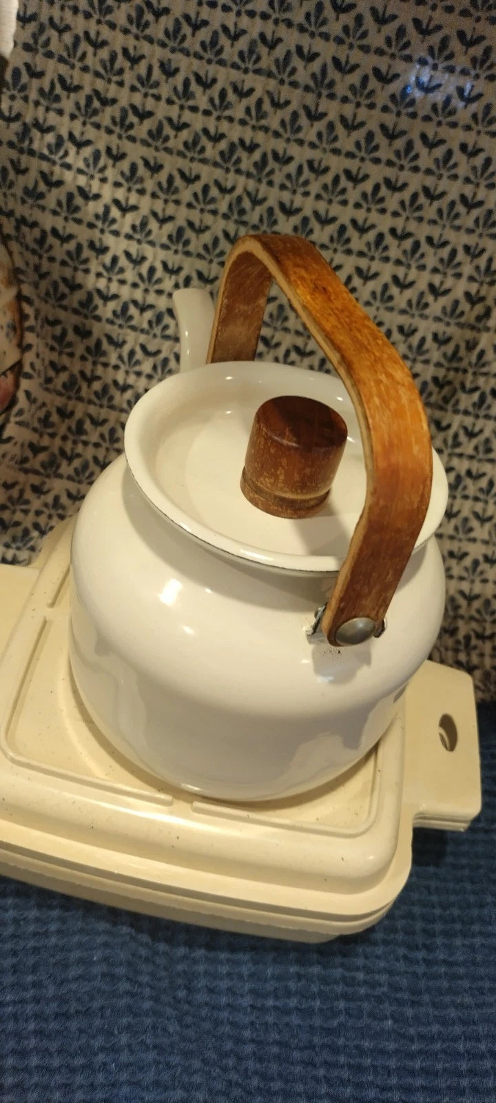 Vintage Enamel Coated Copco Style Teapot Kettle Rustic Farmhouse