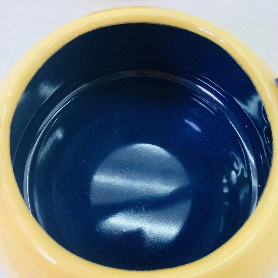 Pokémon Pikachu Enamel Kettle Pot Doucissha N/Box