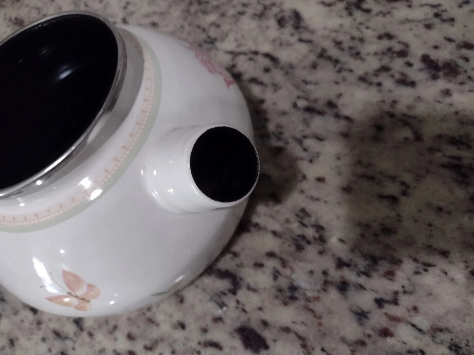 Villeroy And Boch Florea Tea Kettle Enamel Flower Butterfly Rare