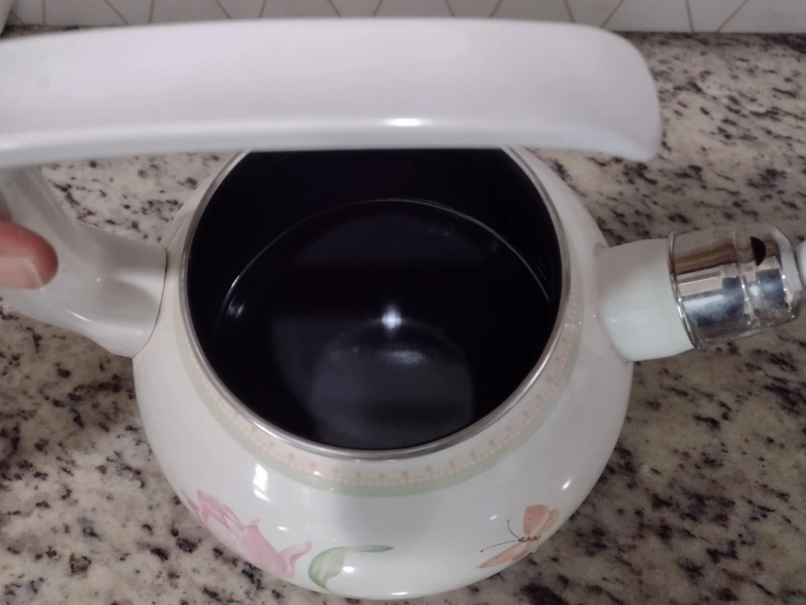 Villeroy And Boch Florea Tea Kettle Enamel Flower Butterfly Rare