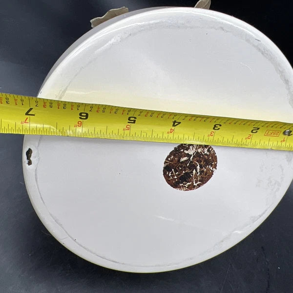 VTG Via Ancona White Enamel Whistling Tea Kettle Ivory, Green Knob Ivy Garland