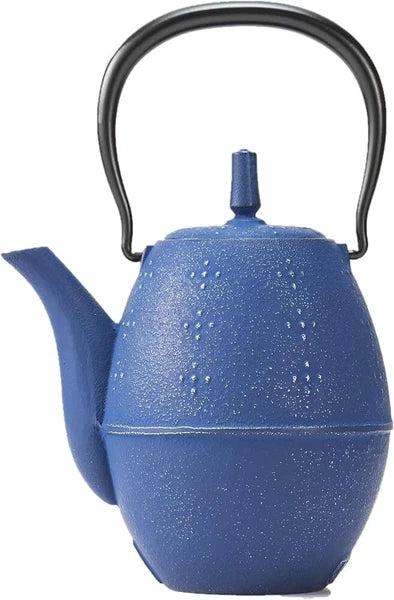 Iwachu Nambu Ironware Rice Teapot Inner Enamel 0.6L Silver/EBU w/Box New Japan