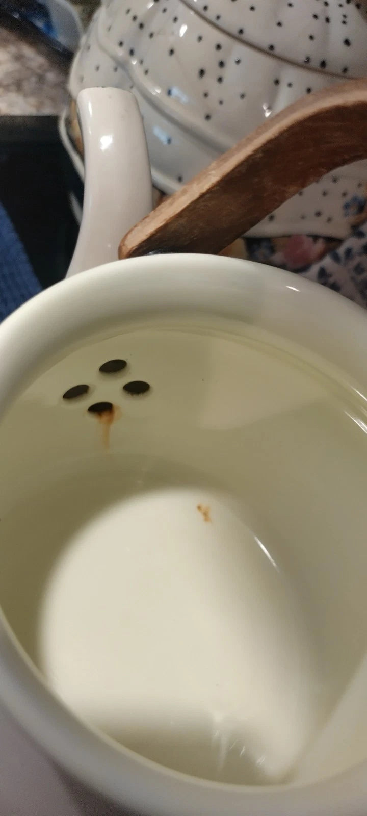 Vintage Enamel Coated Copco Style Teapot Kettle Rustic Farmhouse