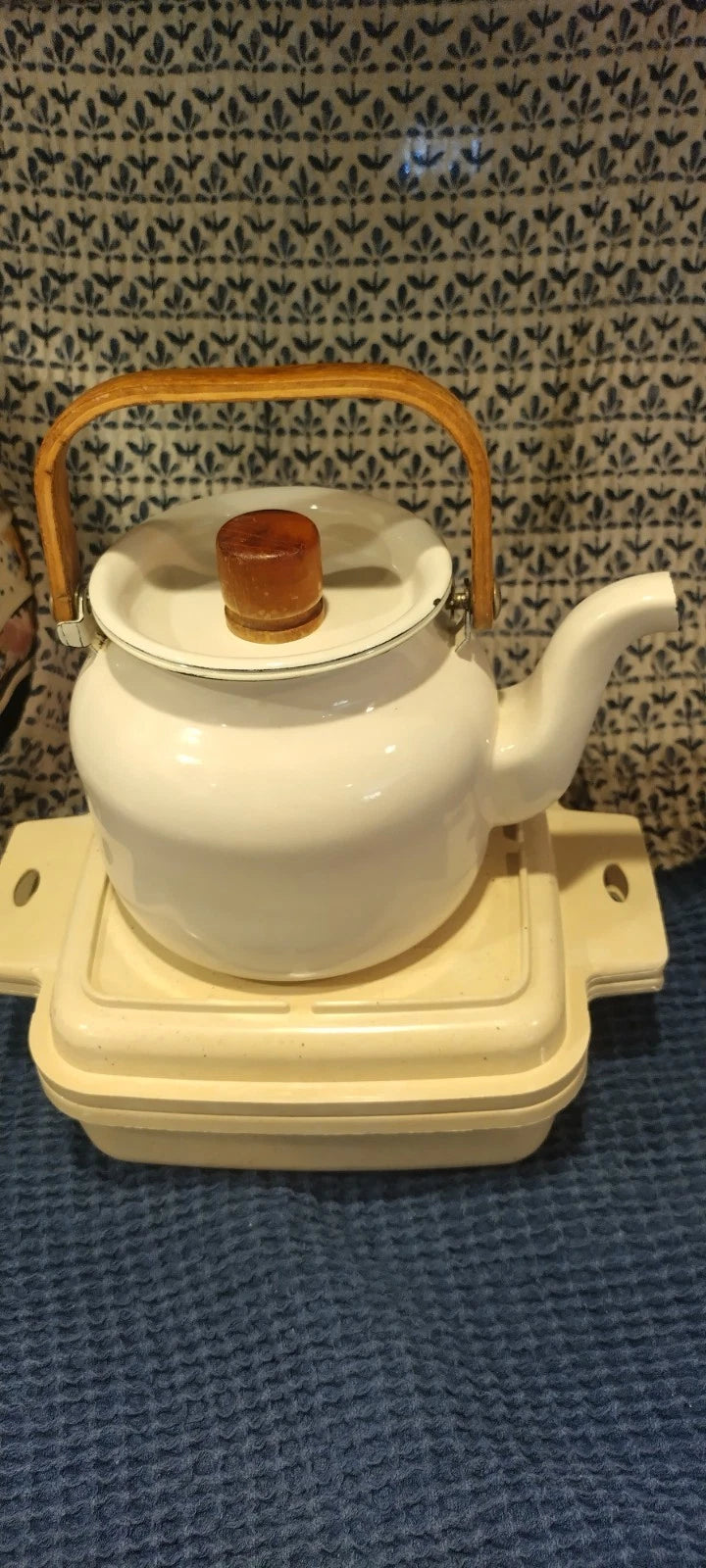 Vintage Enamel Coated Copco Style Teapot Kettle Rustic Farmhouse