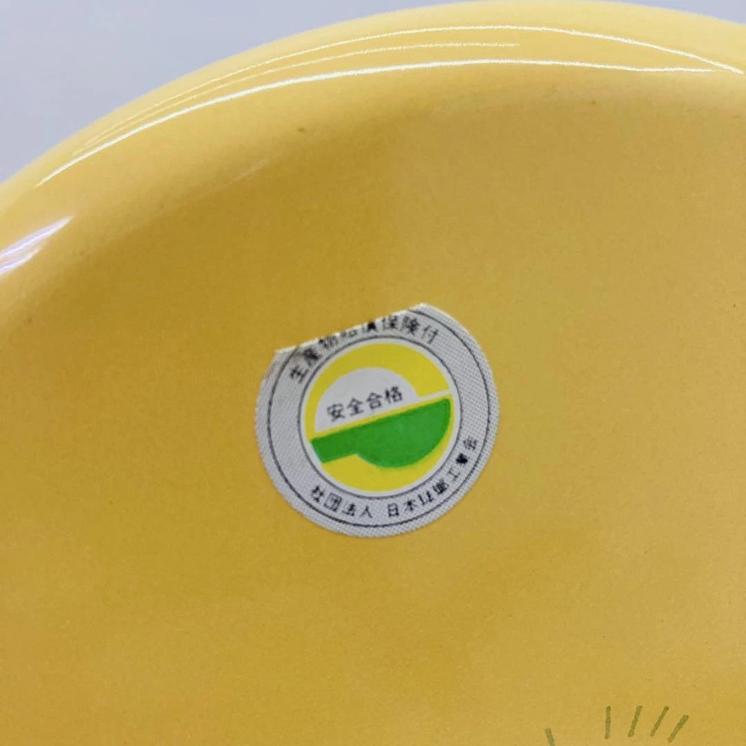 Pokémon Pikachu Enamel Kettle Pot Doucissha N/Box