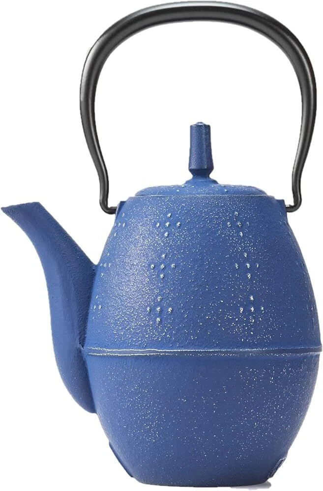 Iwachu Nambu Ironware Rice Teapot Inner Enamel 0.6L Silver/EBU w/Box New Japan