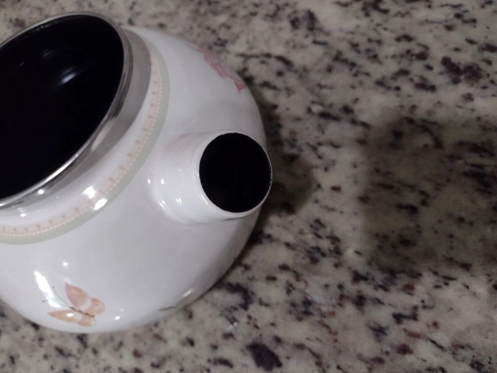 Villeroy And Boch Florea Tea Kettle Enamel Flower Butterfly Rare