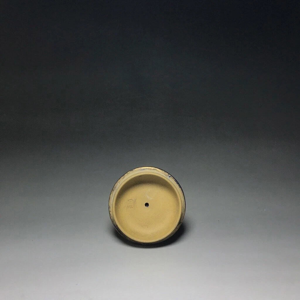 Chinese Yixing Zisha Clay Enamel Handmade Exquisite Fish pattern Teapot 5608