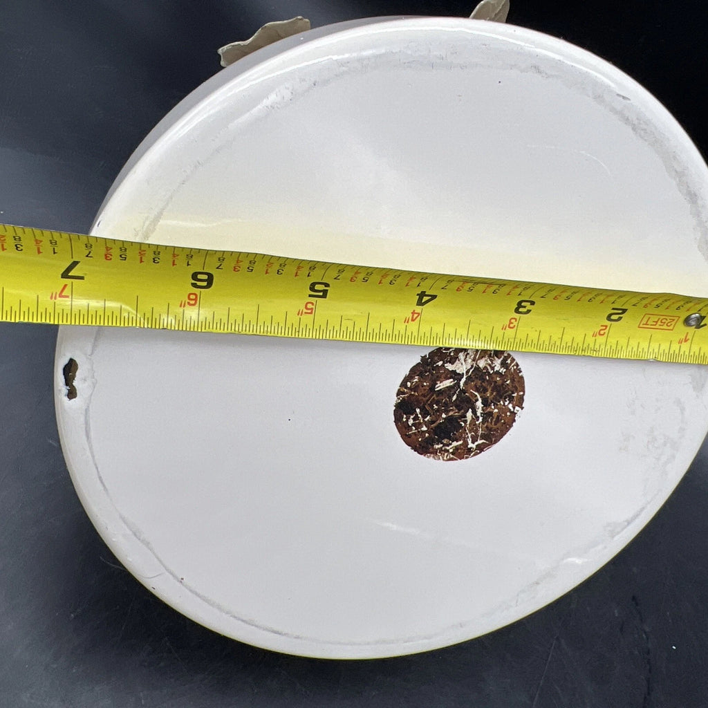 VTG Via Ancona White Enamel Whistling Tea Kettle Ivory, Green Knob Ivy Garland