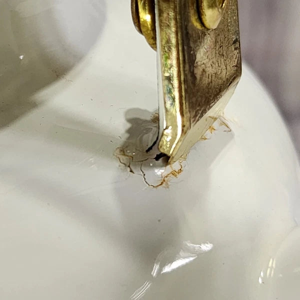 Vtg 1988 Tea Kettle Pot Enamel White Poppies Flowers Brass National Housewares