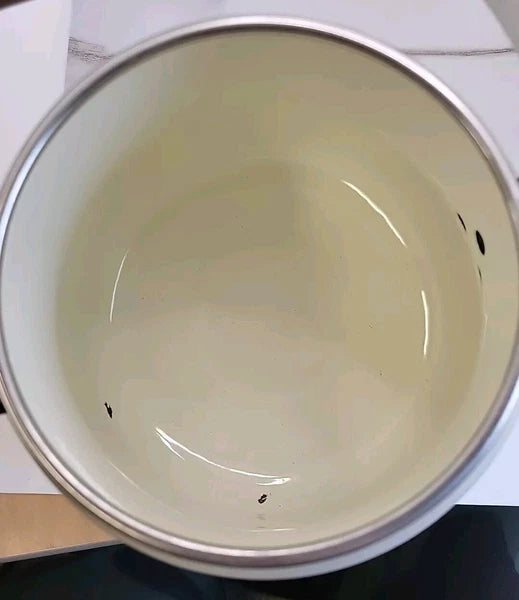 Vintage Tea Kettle, Floral Enamel on Steel Tea Kettle