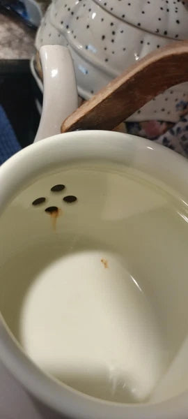 Vintage Enamel Coated Copco Style Teapot Kettle Rustic Farmhouse