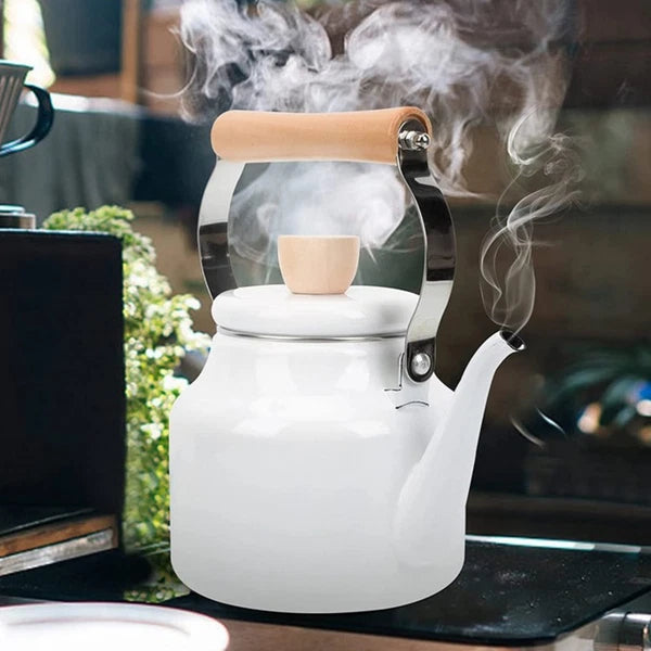 Kettle Make Tea Travel Chinese Pots Stovetop Safe Kettles for Boiling Water
