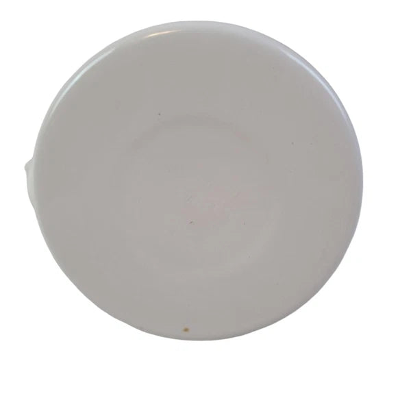 vintage white enamel tea kettle