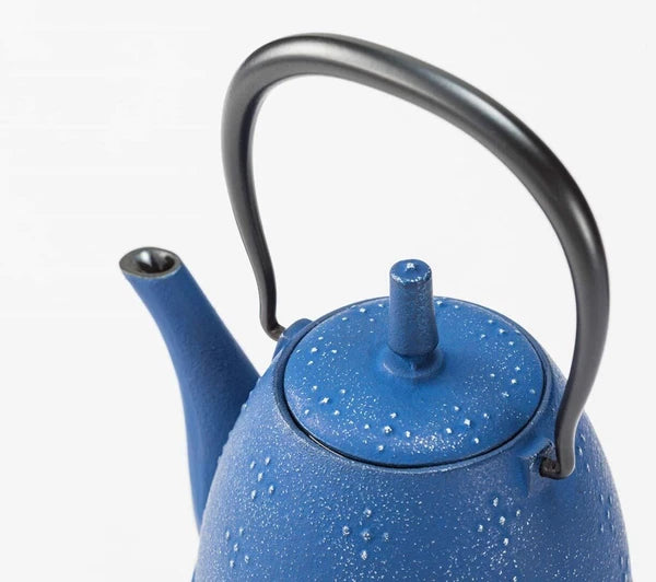 Iwachu Nambu Ironware Rice Teapot Inner Enamel 0.6L Silver/EBU w/Box New Japan
